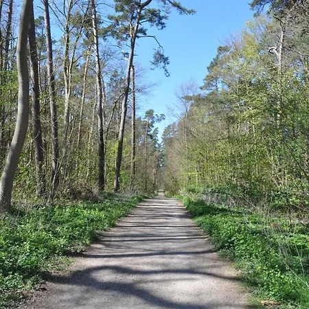 Ostseetraum Lägenhet *