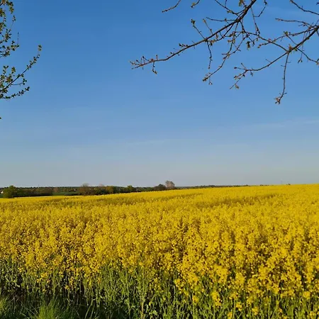 Ostseetraum Lägenhet Ostseebad Kühlungsborn